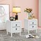 Costway 2 PCs Nightstand End Bedside Coffee Table Wooden Leg Storage Drawers White
